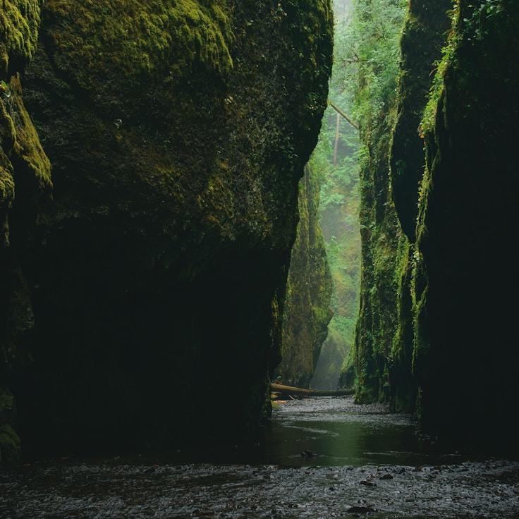 Protected areas overview